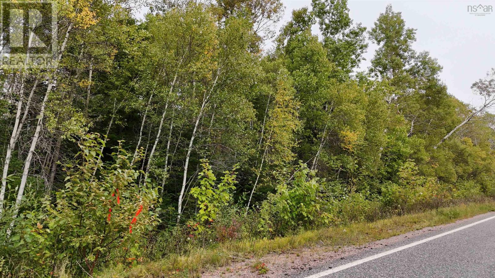 Lot 9 Balmoral Road, New Annan, Nova Scotia  B0K 1V0 - Photo 3 - 202623951