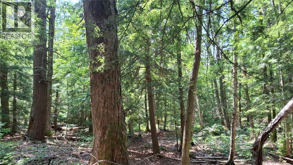 5822 Line 8 N, Moonstone, Ontario L0K 1N0 - Photo 12 - 40865208
