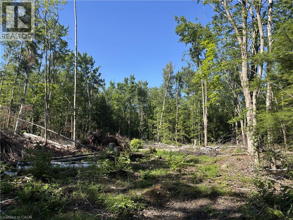5822 Line 8 N, Moonstone, Ontario L0K 1N0 - Photo 13 - 40865208