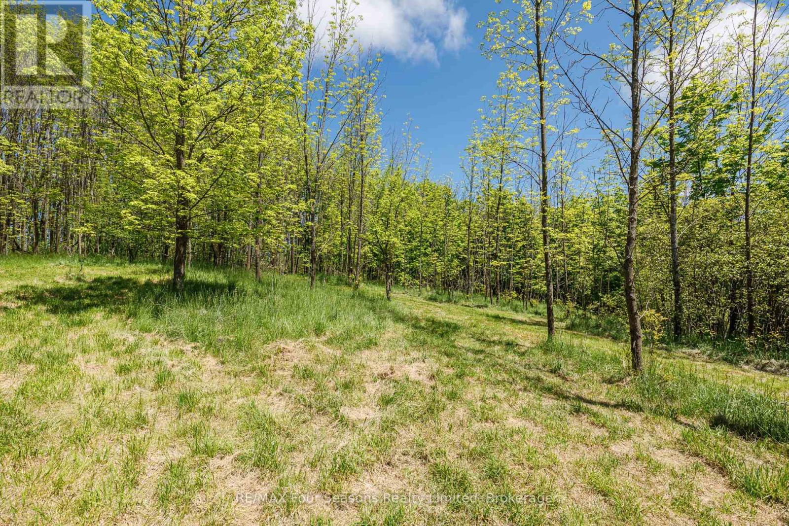 Pt Lt 12 Part 1 18 Grey Road, Meaford, Ontario  N4L 1W5 - Photo 7 - X13217704