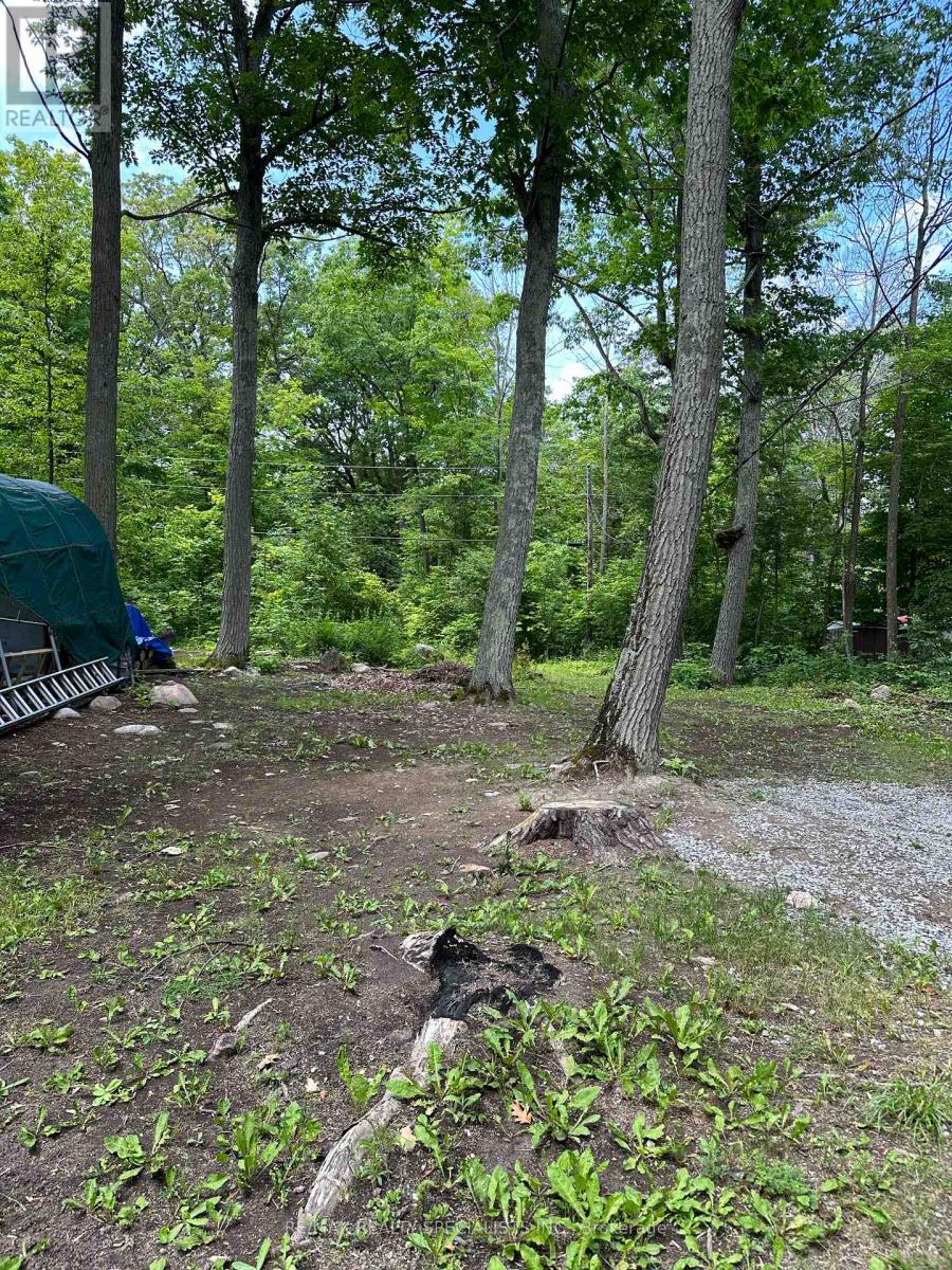 Lot 42 Snake Island Road, Georgina Islands, Ontario  L4P 3E9 - Photo 45 - N13790996