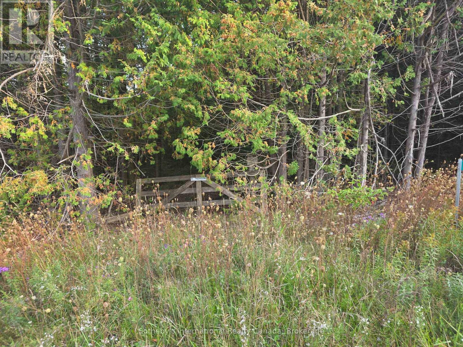 349749 4th Concession B, Grey Highlands, Ontario  N0C 1M0 - Photo 3 - X13810142