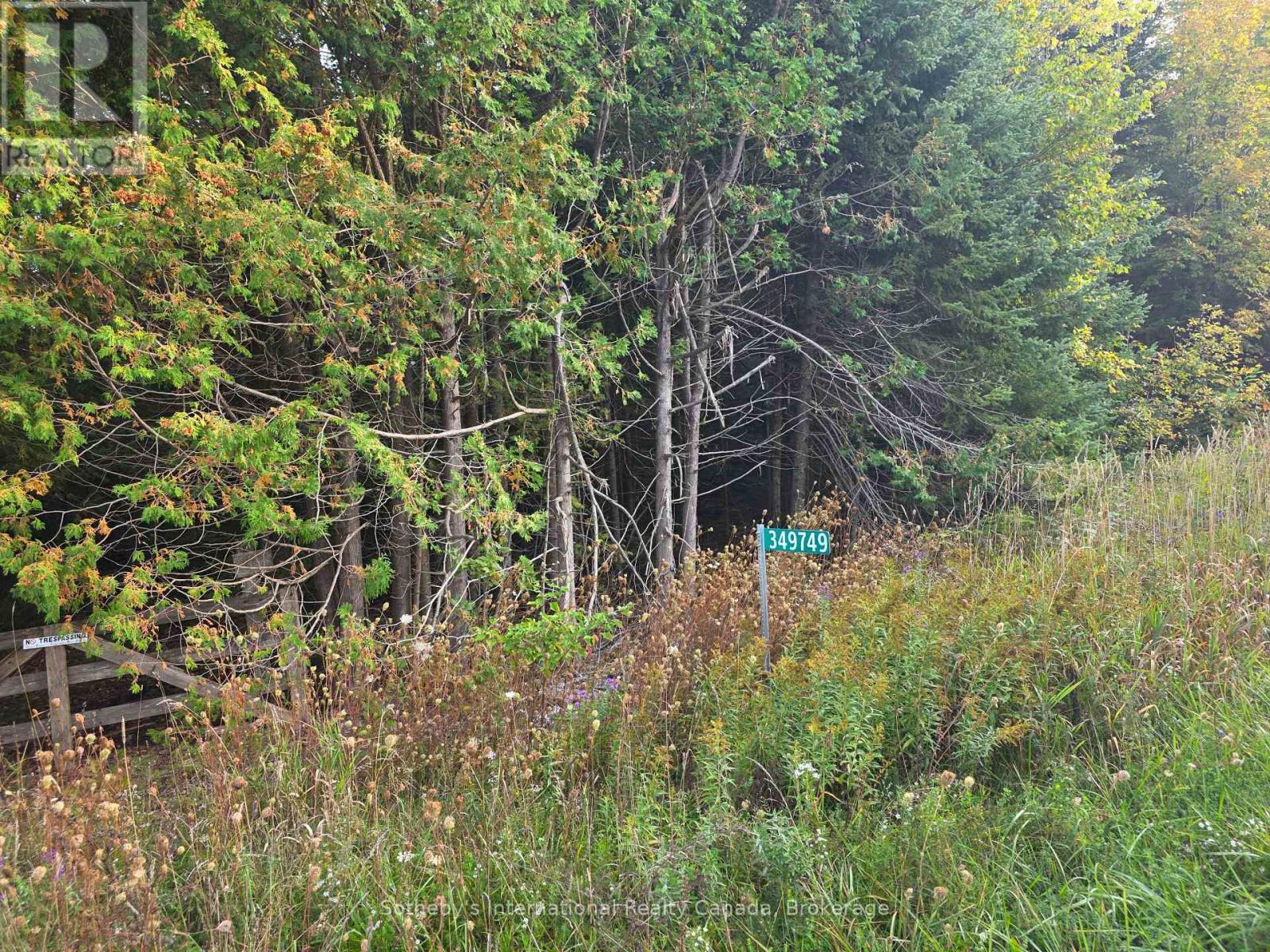 349749 4th Concession B, Grey Highlands, Ontario  N0C 1M0 - Photo 4 - X13810142