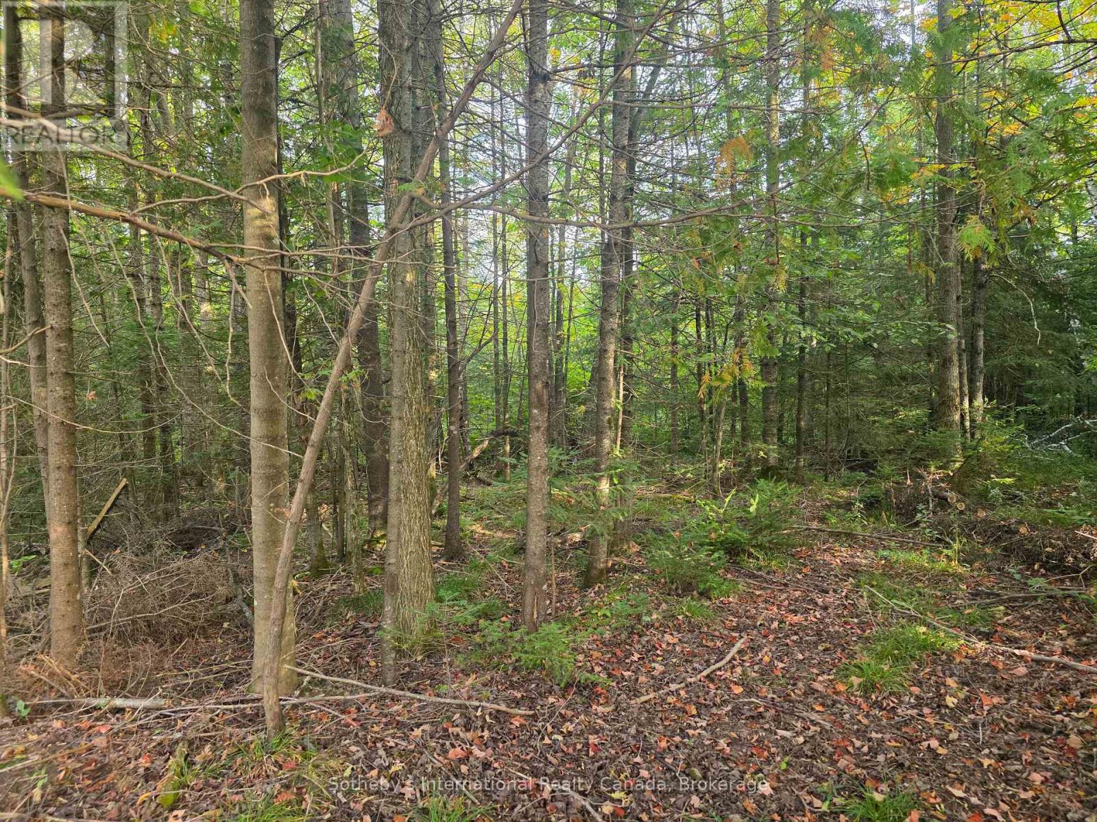 349749 4th Concession B, Grey Highlands, Ontario  N0C 1M0 - Photo 6 - X13810142