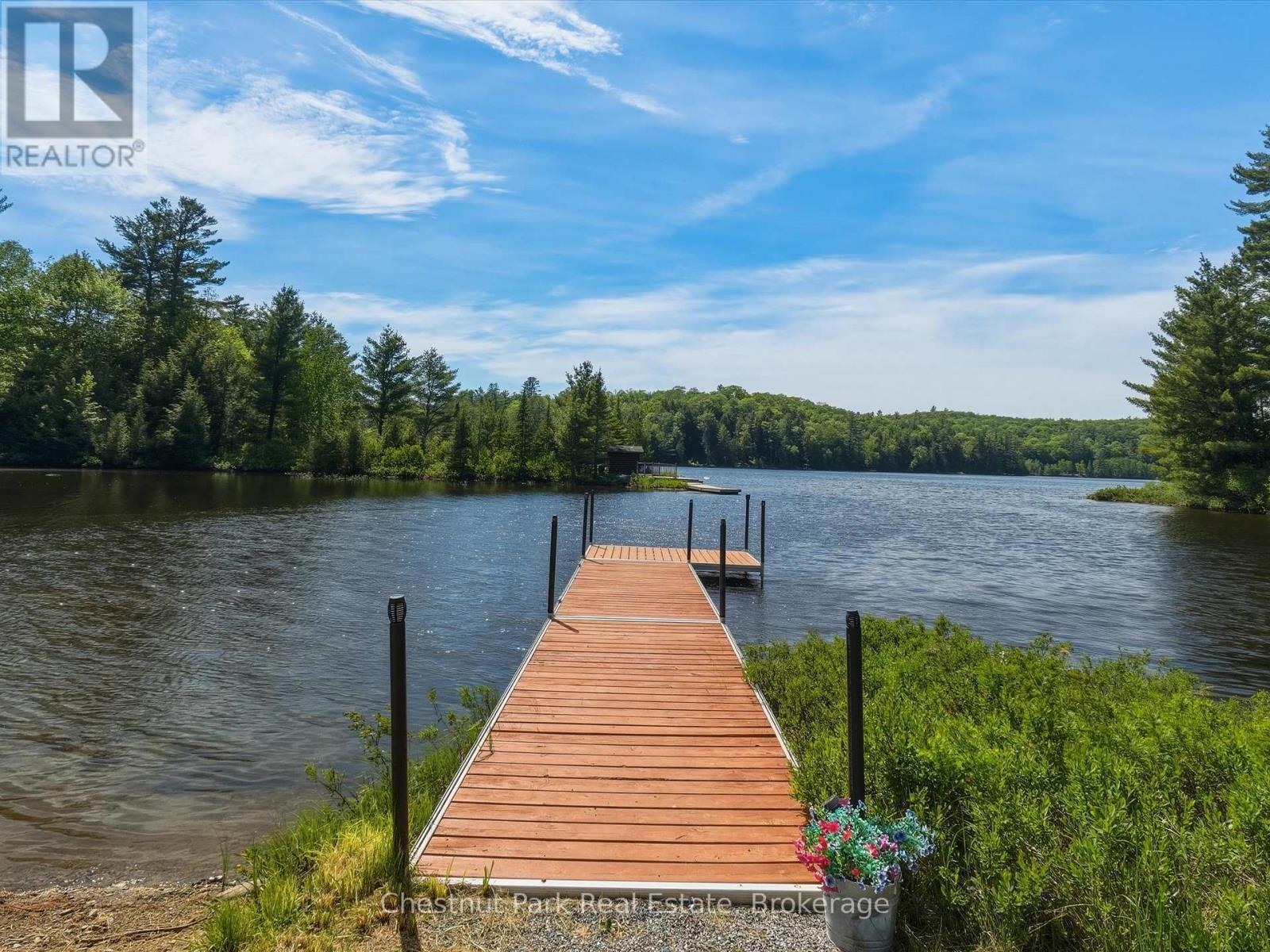 1013 Goodlife Lane, Algonquin Highlands, Ontario P0A 1E0 - Photo 40 - X13810192