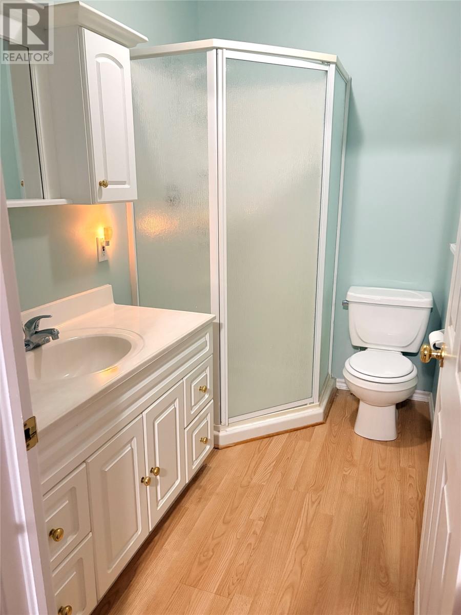 379 Grenfell Heights, Grand Falls-Windsor — photo 22