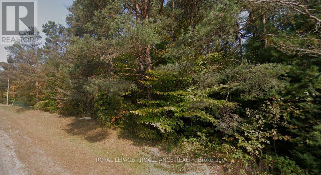 0 Airport Road, Addington Highlands, Ontario  K0H 2G0 - Photo 2 - X13810454