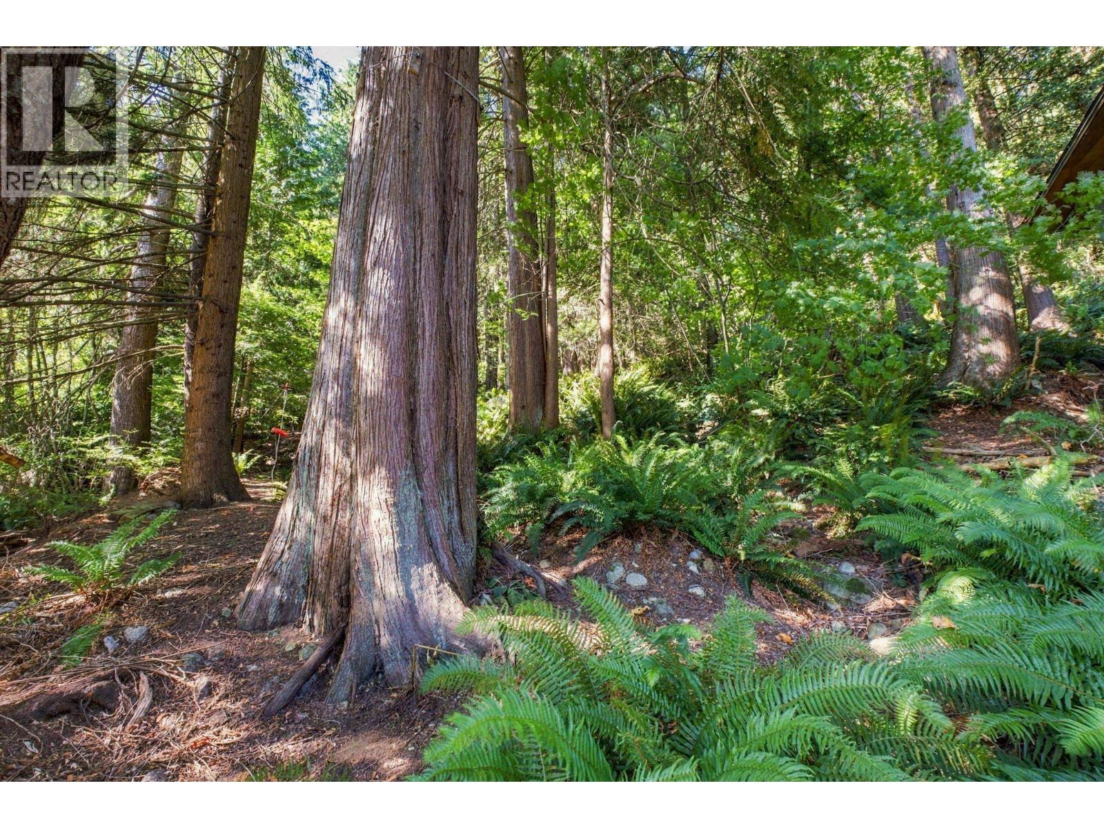 2787 Panorama Drive, North Vancouver, British Columbia  V7G 1V7 - Photo 28 - R3167706