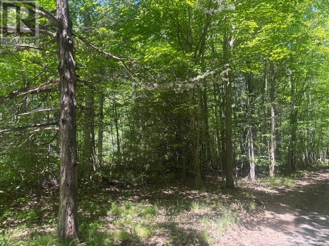 49 Cedar Sands Road, Rideau Lakes, Ontario K0E 1N0 - Photo 2 - X13810616