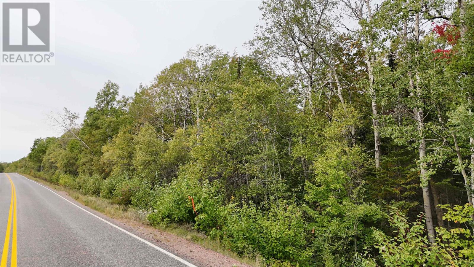 Lot 9 Balmoral Road, New Annan, Nova Scotia  B0K 1V0 - Photo 2 - 202623951