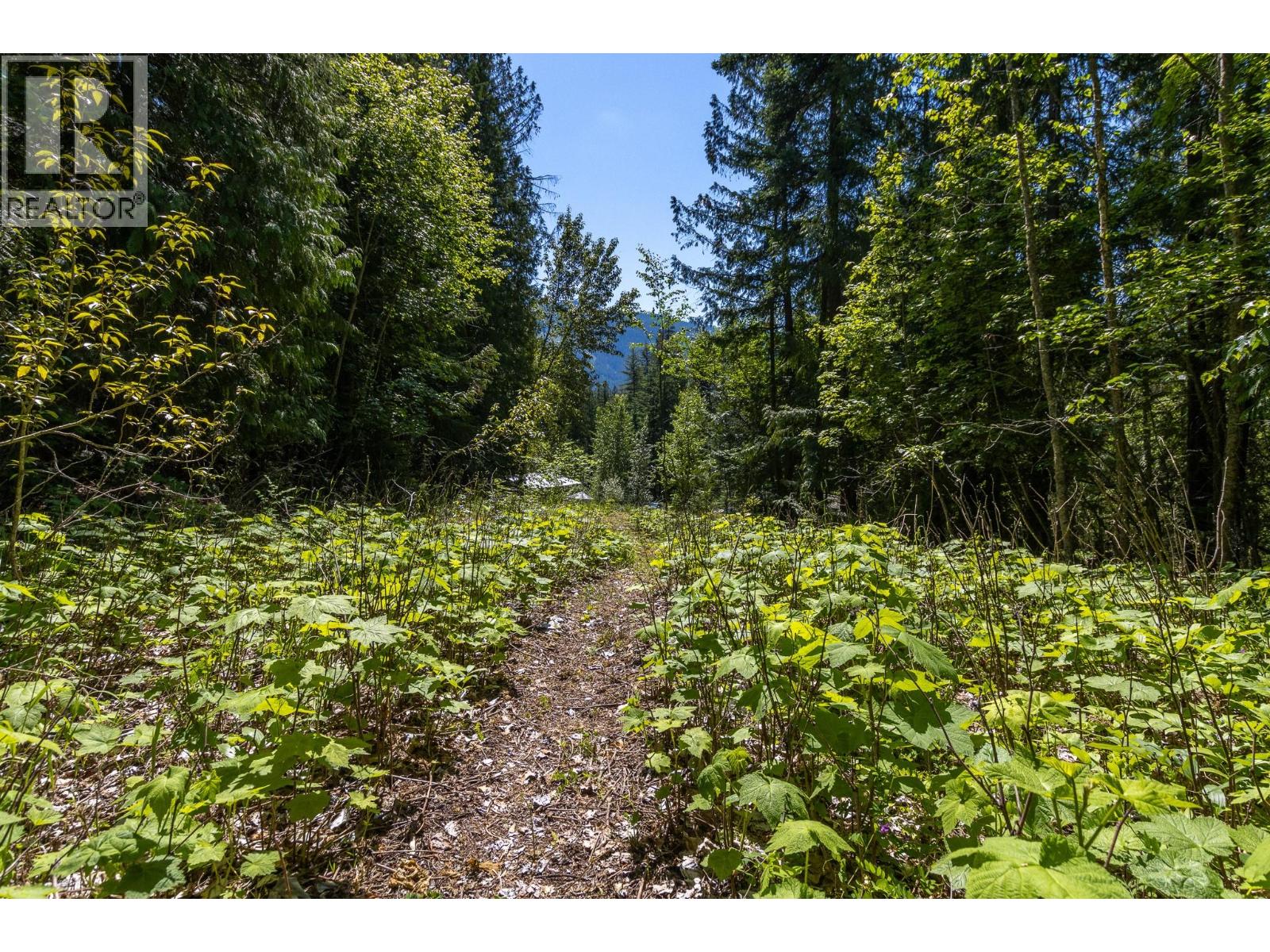 Sunnybrae Canoe Point Road Lot# 2, Tappen, British Columbia  V0E 2X1 - Photo 29 - 10389363