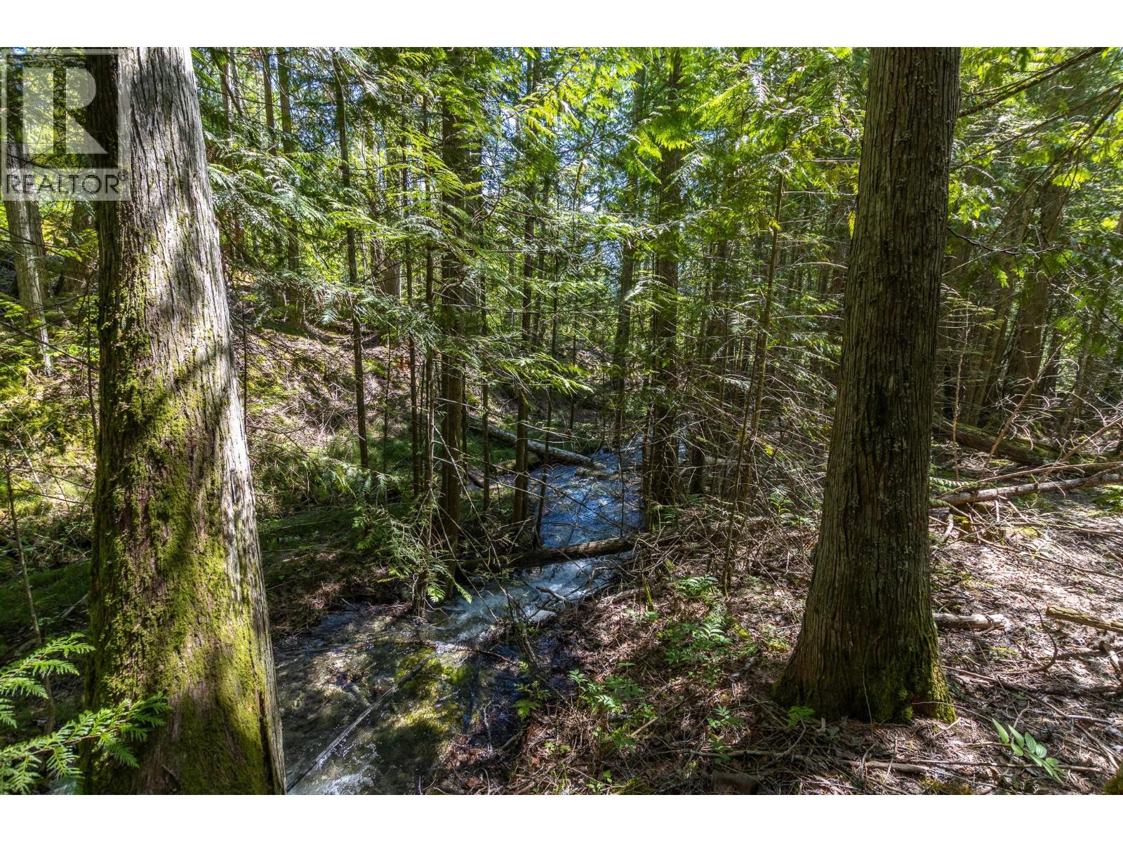 Sunnybrae Canoe Point Road Lot# 2, Tappen, British Columbia  V0E 2X1 - Photo 10 - 10389363
