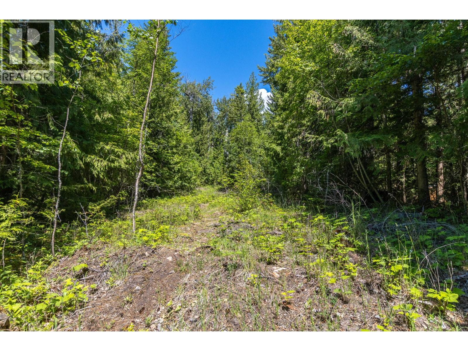 Sunnybrae Canoe Point Road Lot# 2, Tappen, British Columbia  V0E 2X1 - Photo 31 - 10389363