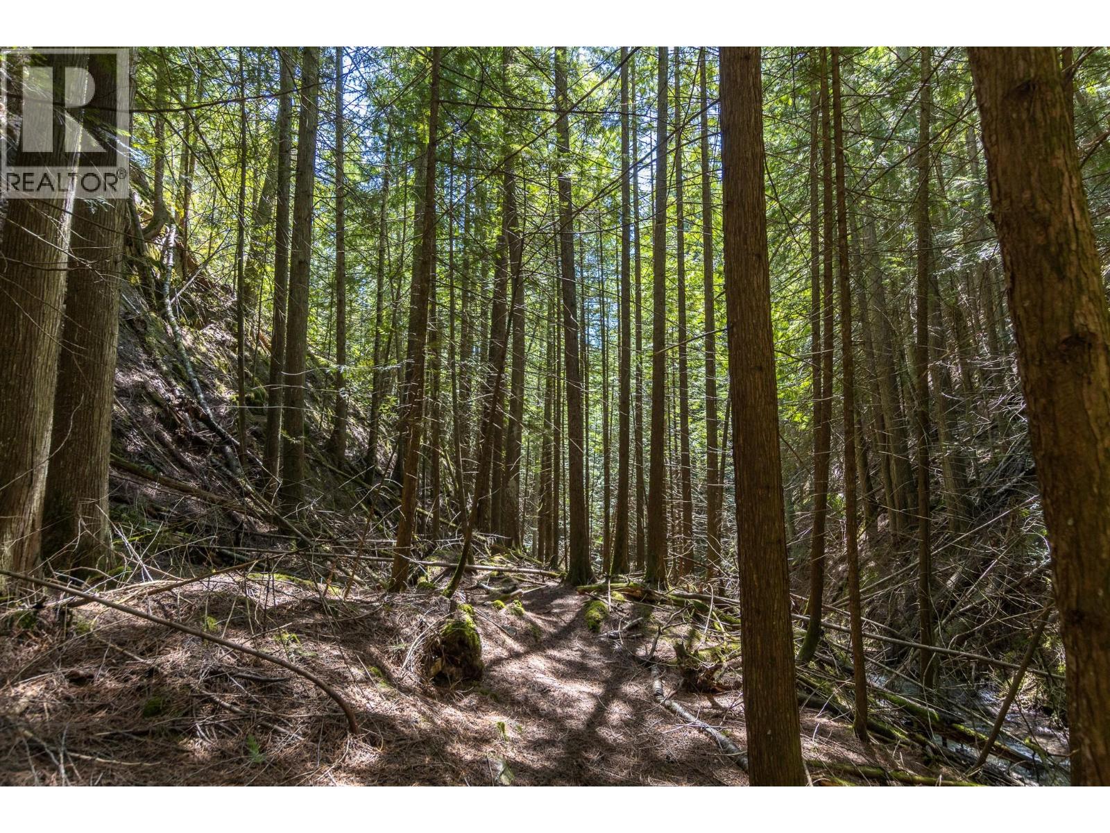 Sunnybrae Canoe Point Road Lot# 2, Tappen, British Columbia  V0E 2X1 - Photo 37 - 10389363