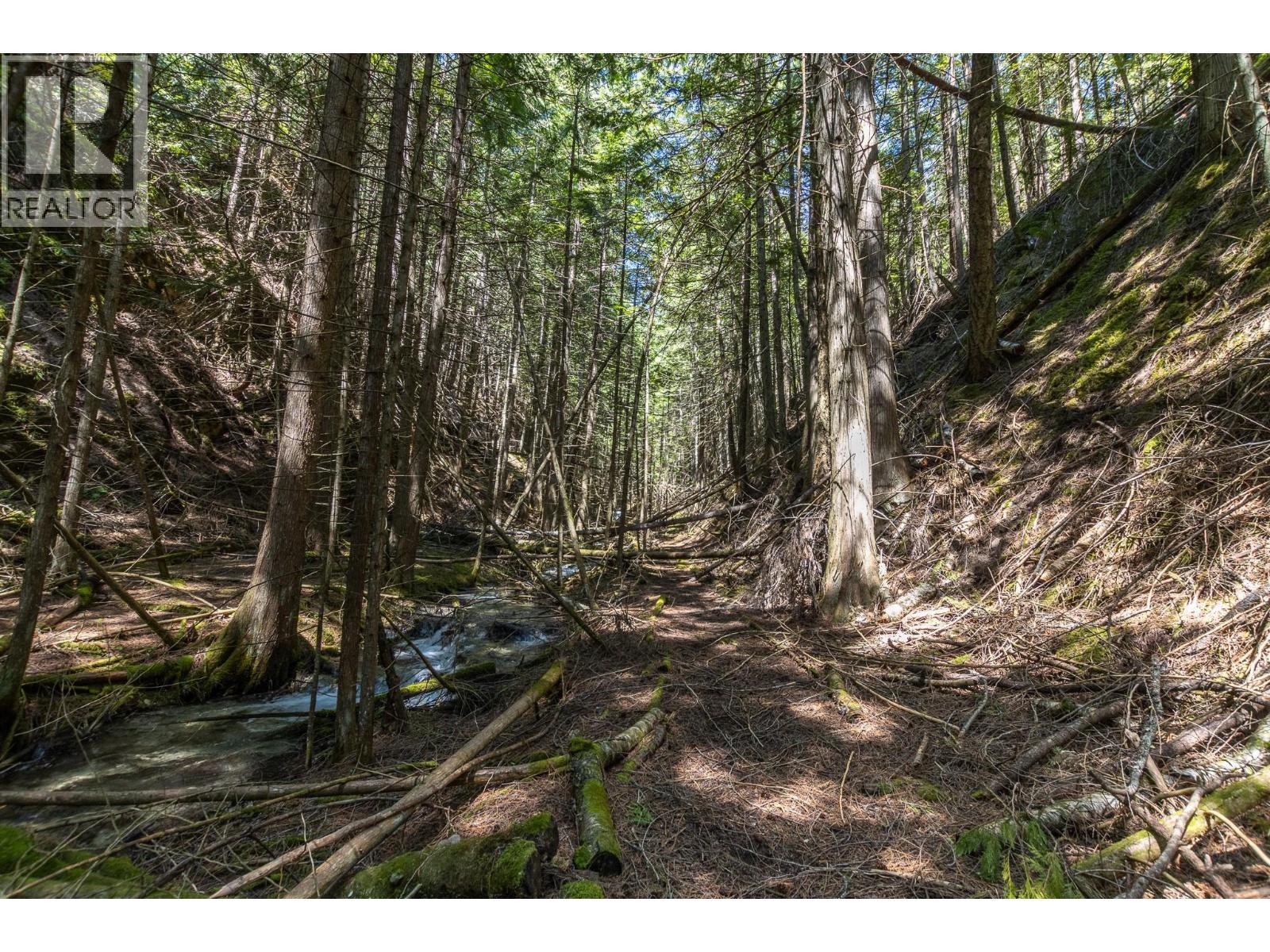 Sunnybrae Canoe Point Road Lot# 2, Tappen, British Columbia  V0E 2X1 - Photo 36 - 10389363