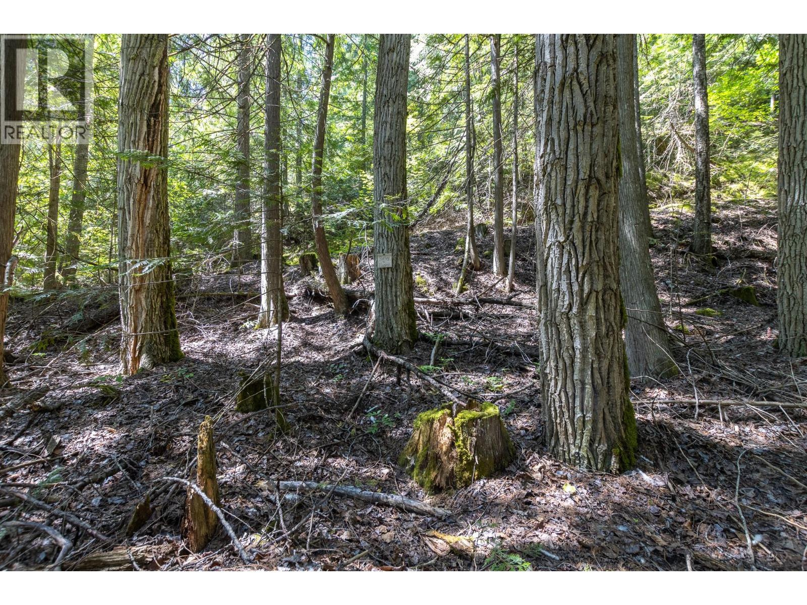 Sunnybrae Canoe Point Road Lot# 2, Tappen, British Columbia  V0E 2X1 - Photo 35 - 10389363