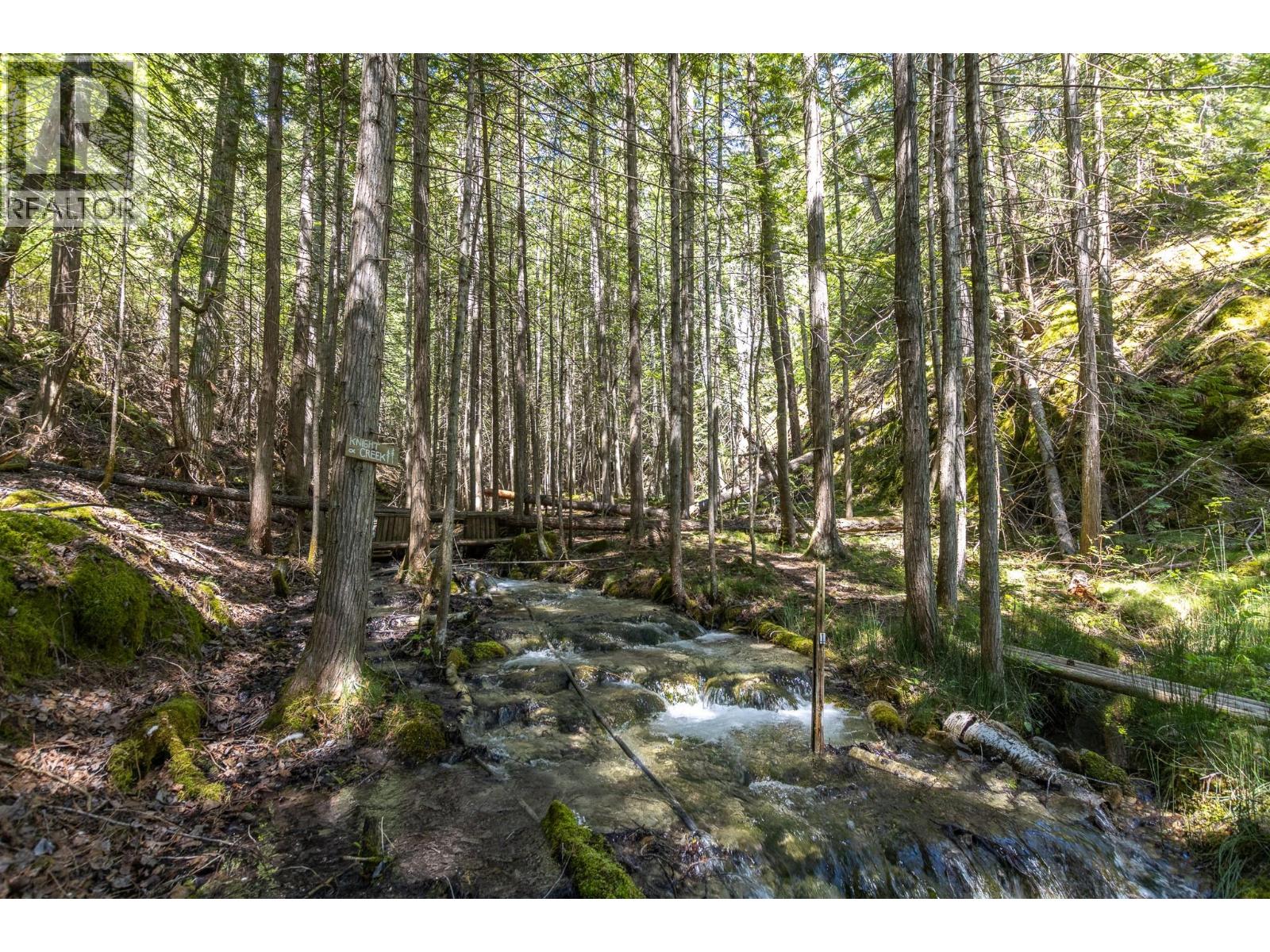 Sunnybrae Canoe Point Road Lot# 2, Tappen, British Columbia  V0E 2X1 - Photo 34 - 10389363