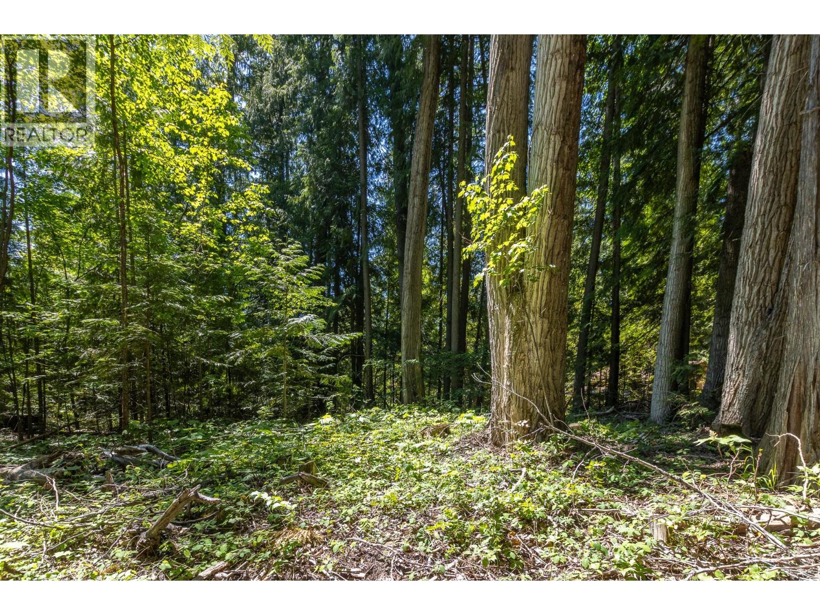 Sunnybrae Canoe Point Road Lot# 2, Tappen, British Columbia  V0E 2X1 - Photo 30 - 10389363