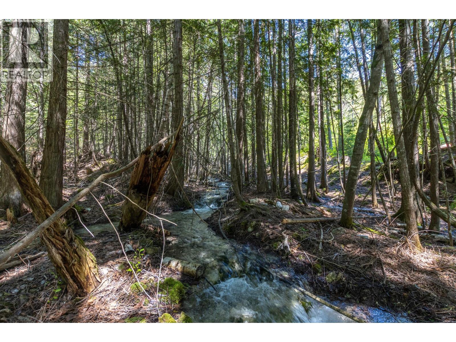 Sunnybrae Canoe Point Road Lot# 2, Tappen, British Columbia  V0E 2X1 - Photo 32 - 10389363