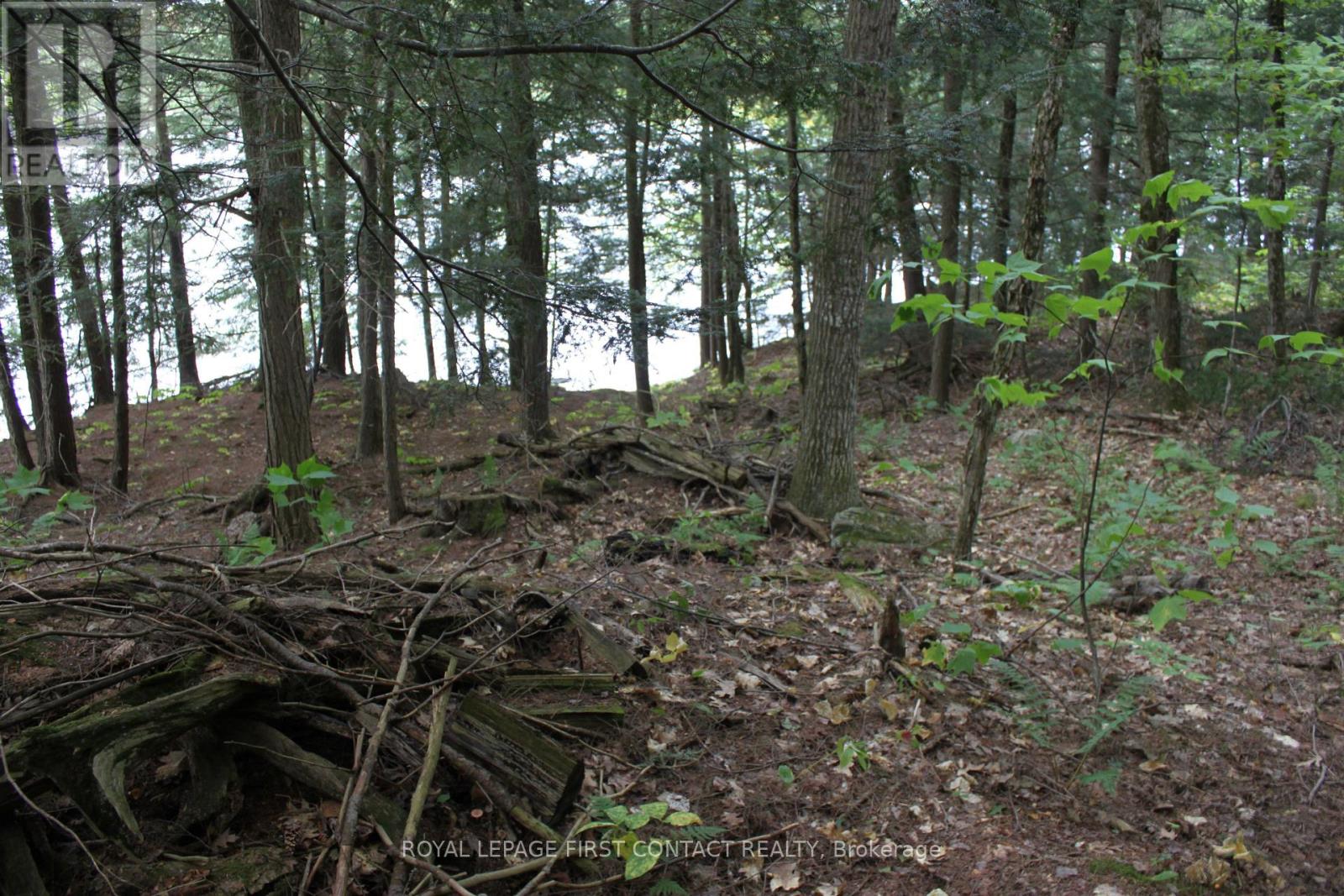 10 Healey Lake Road, The Archipelago, Ontario  P0C 1H0 - Photo 33 - X13810704