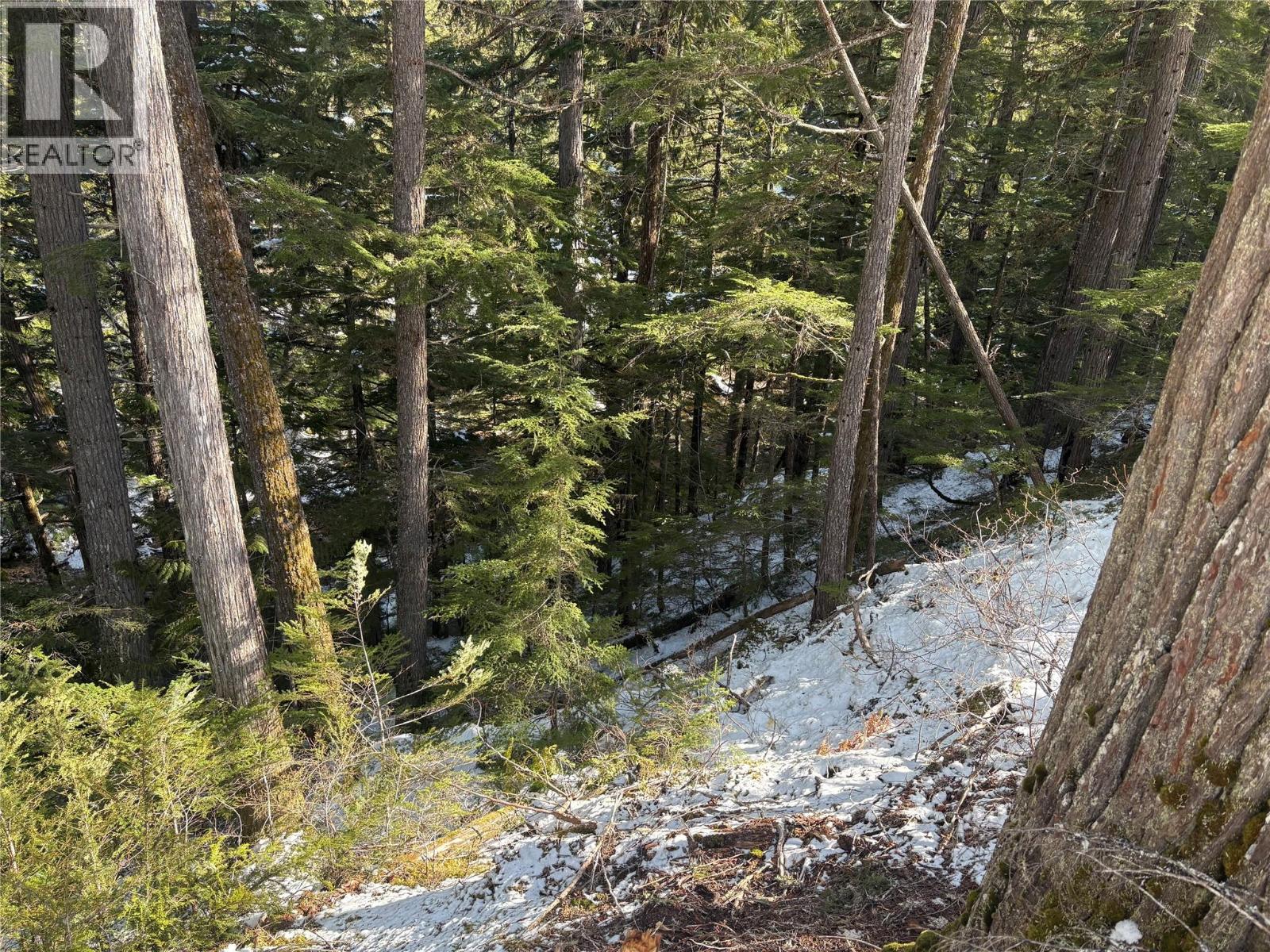 1020 Forest Service Road Seymour Arm Road, Seymour Arm, British Columbia   - Photo 9 - 10381224