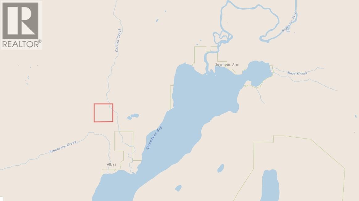 1020 Forest Service Road Seymour Arm Road, Seymour Arm, British Columbia   - Photo 3 - 10381224