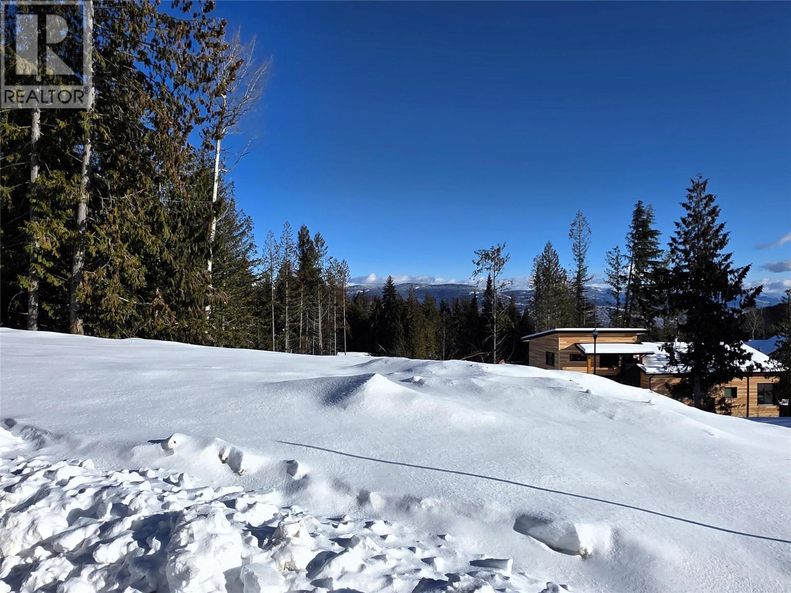 101 Topping Terrace, Rossland, British Columbia V0G 1Y0 - Photo 6 - 10371624