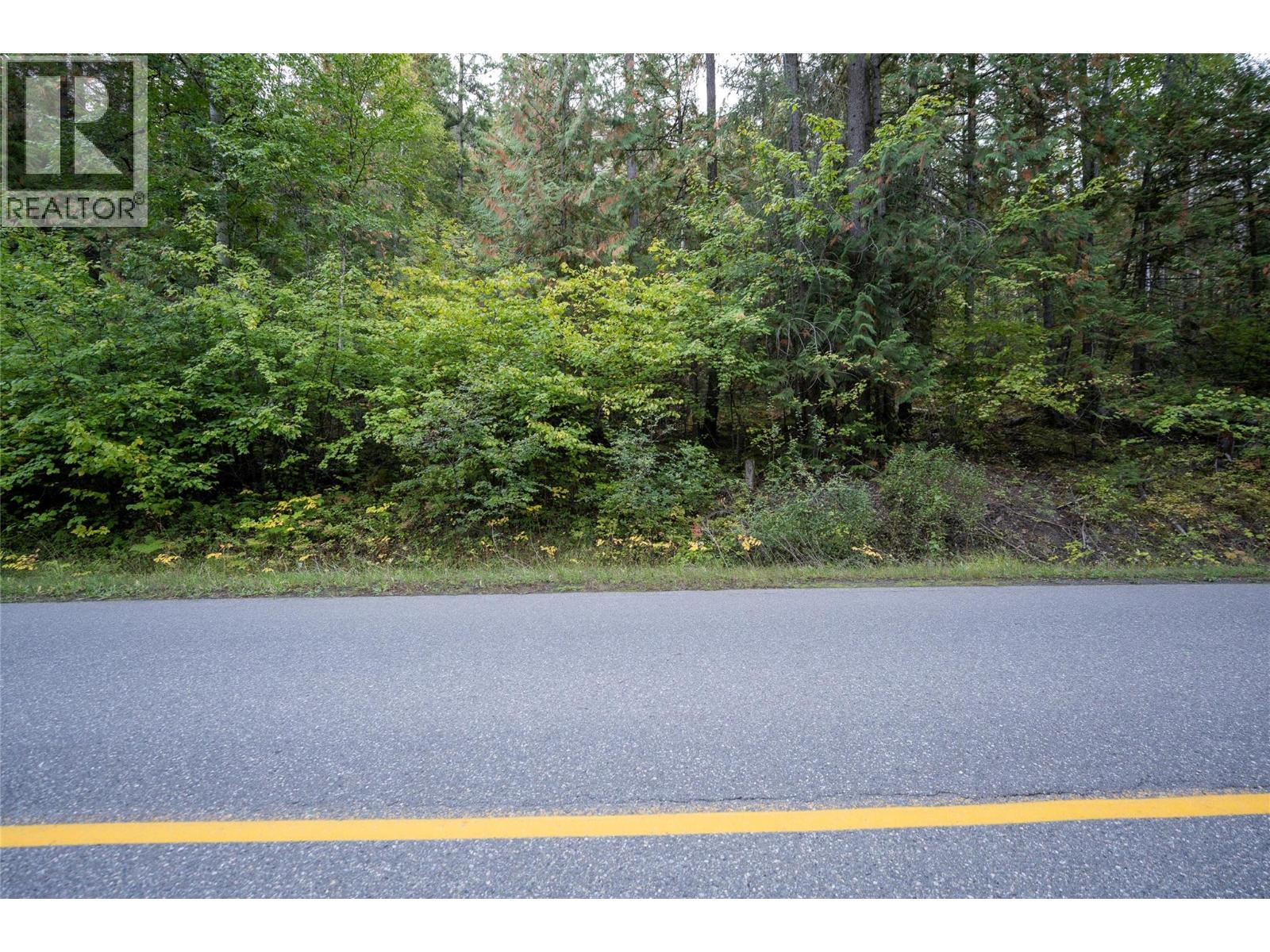 1937 Lumby Mabel Lake Road, Lumby, British Columbia  V0E 2G6 - Photo 8 - 10401371