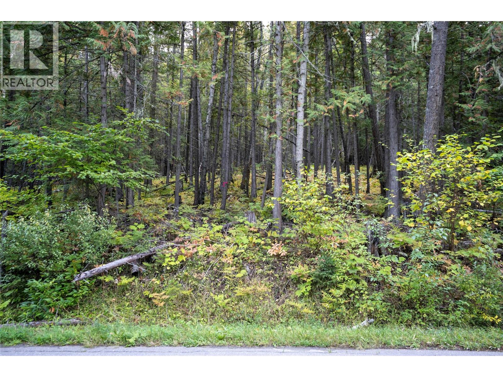 1937 Lumby Mabel Lake Road, Lumby, British Columbia  V0E 2G6 - Photo 7 - 10401371