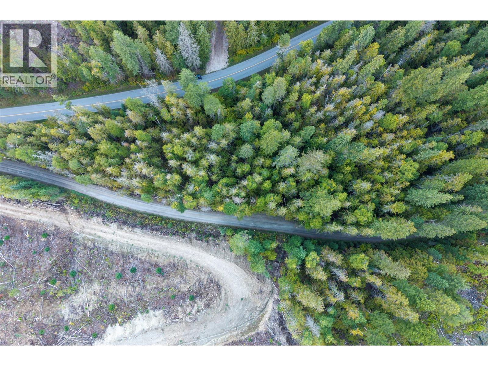 1937 Lumby Mabel Lake Road, Lumby, British Columbia  V0E 2G6 - Photo 3 - 10401371