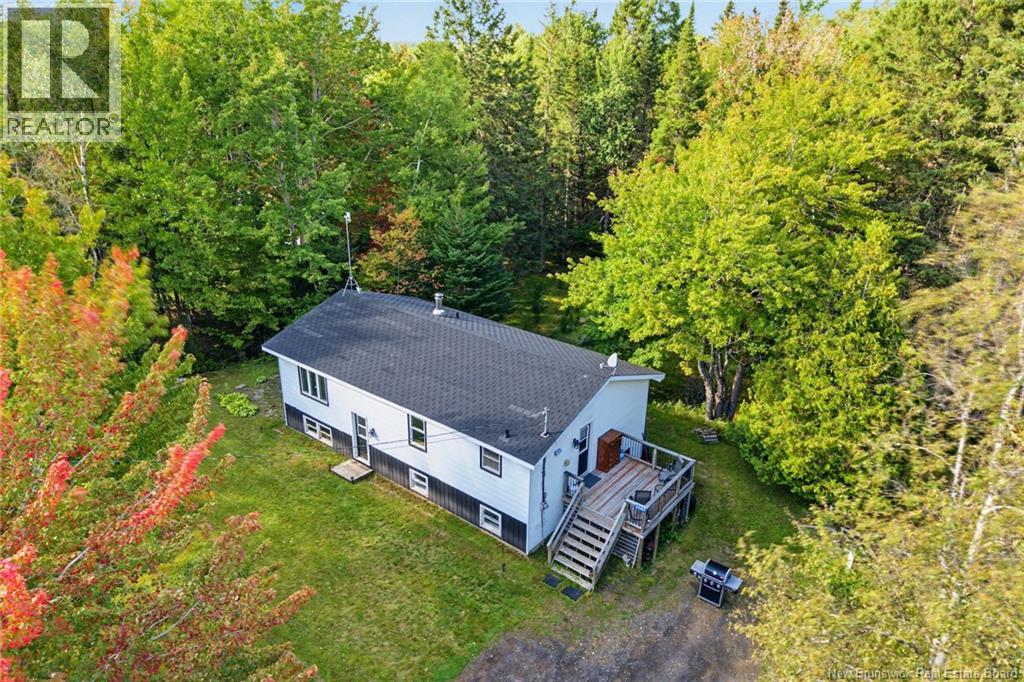 6067 Route 10, Upper Salmon Creek, New Brunswick  E4A 1B9 - Photo 3 - NB148266