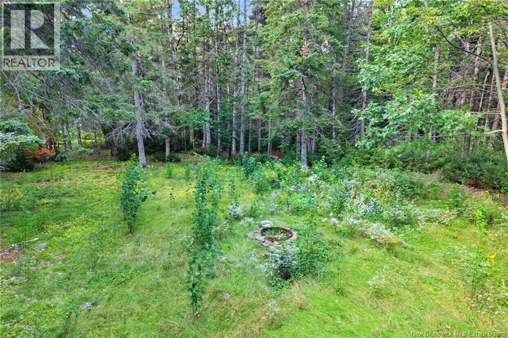 6067 Route 10, Upper Salmon Creek, New Brunswick  E4A 1B9 - Photo 46 - NB148266
