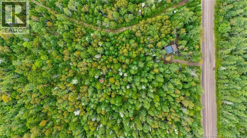 Lot Brooklyn Road, Midgic, New Brunswick  E4L 1W3 - Photo 10 - NB148129