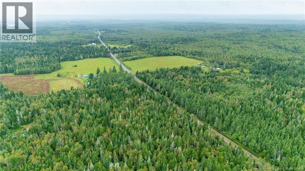 Lot Brooklyn Road, Midgic, New Brunswick  E4L 1W3 - Photo 11 - NB148129