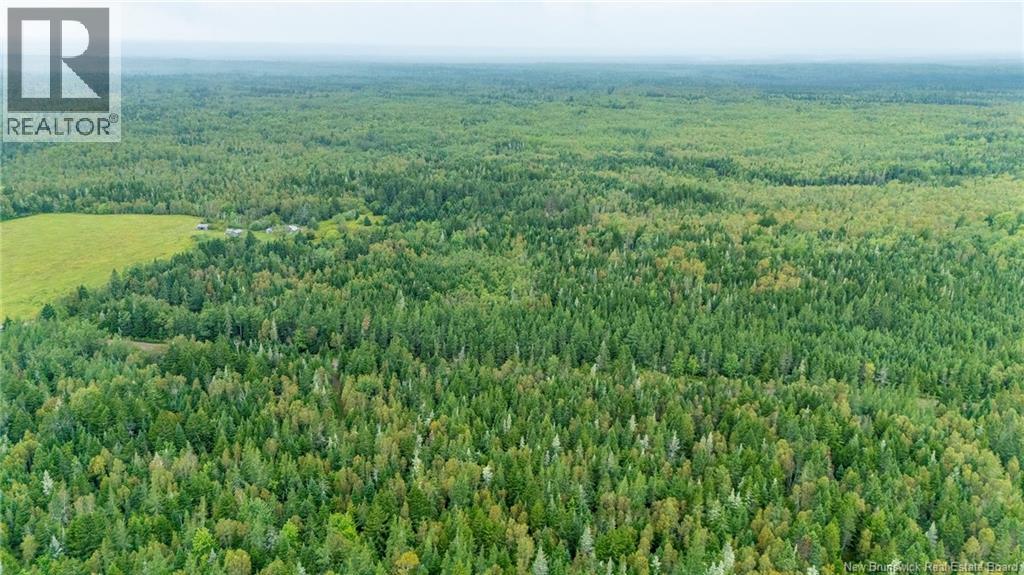 Lot Brooklyn Road, Midgic, New Brunswick  E4L 1W3 - Photo 12 - NB148129