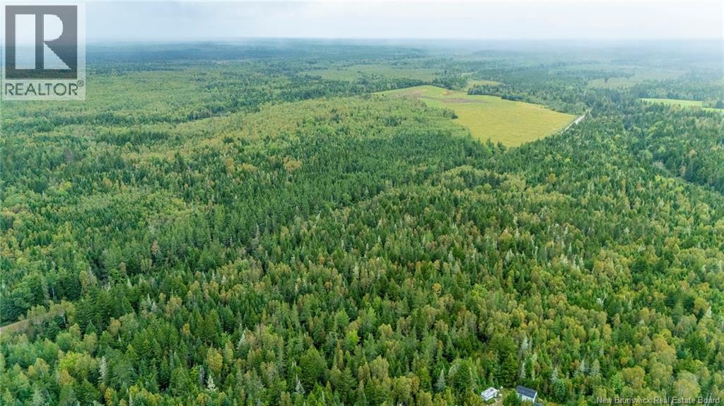 Lot Brooklyn Road, Midgic, New Brunswick  E4L 1W3 - Photo 13 - NB148129