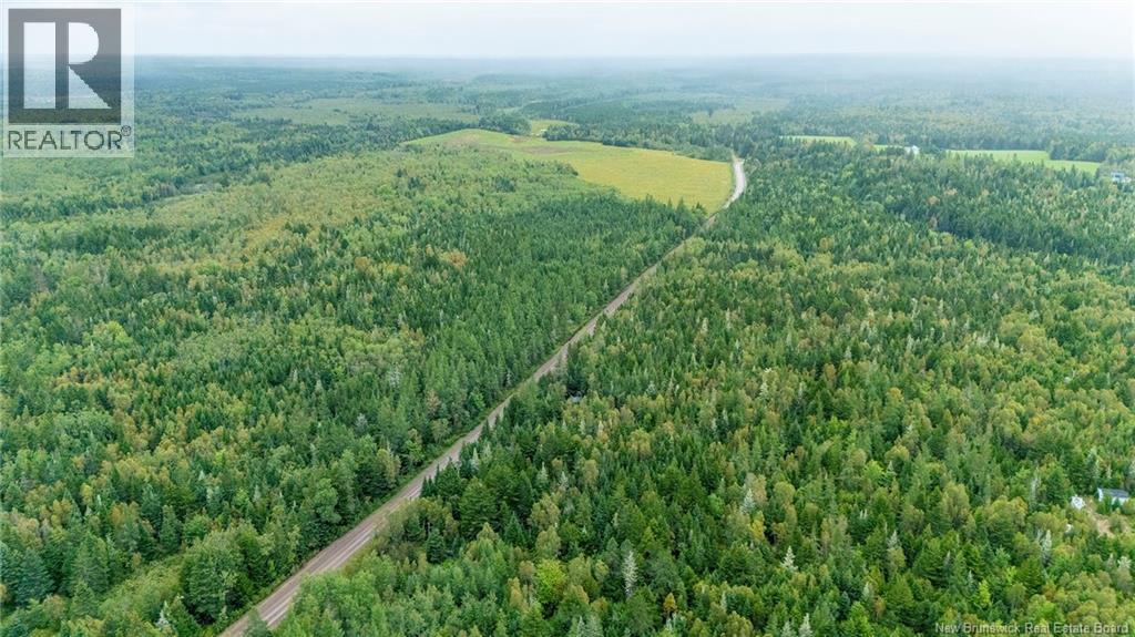 Lot Brooklyn Road, Midgic, New Brunswick  E4L 1W3 - Photo 14 - NB148129