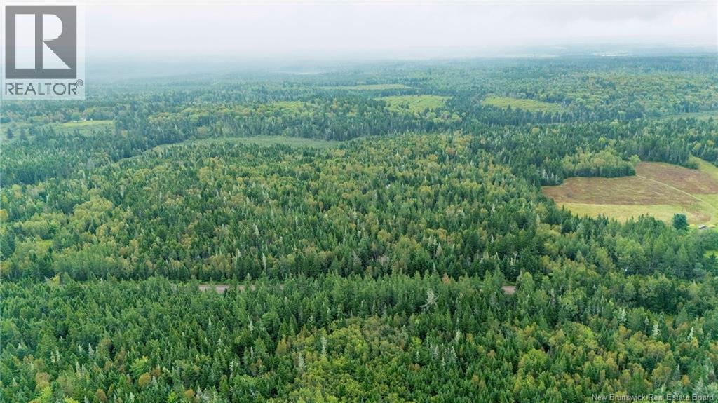 Lot Brooklyn Road, Midgic, New Brunswick  E4L 1W3 - Photo 17 - NB148129