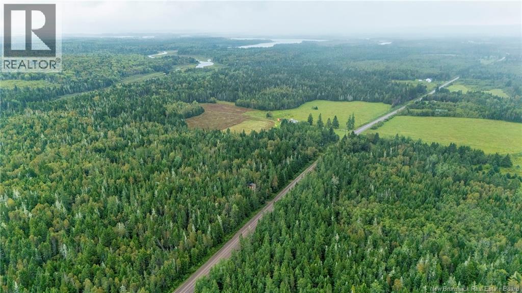 Lot Brooklyn Road, Midgic, New Brunswick  E4L 1W3 - Photo 19 - NB148129