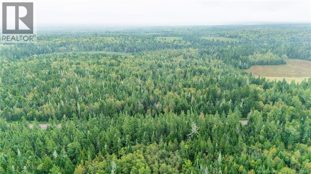 Lot Brooklyn Road, Midgic, New Brunswick  E4L 1W3 - Photo 21 - NB148129