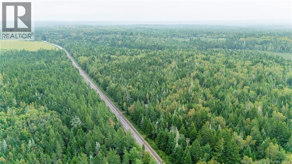 Lot Brooklyn Road, Midgic, New Brunswick  E4L 1W3 - Photo 22 - NB148129
