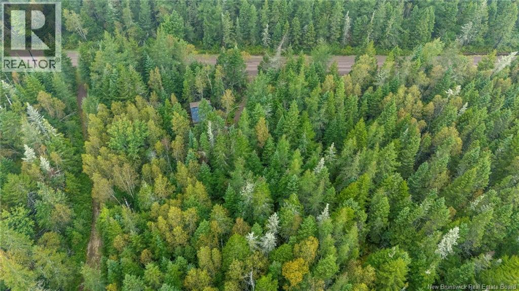 Lot Brooklyn Road, Midgic, New Brunswick  E4L 1W3 - Photo 27 - NB148129