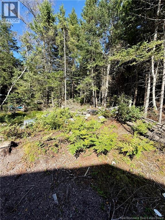 Lot Brooklyn Road, Midgic, New Brunswick  E4L 1W3 - Photo 36 - NB148129