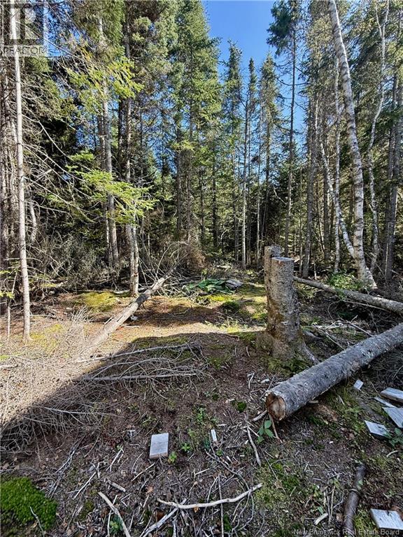 Lot Brooklyn Road, Midgic, New Brunswick  E4L 1W3 - Photo 37 - NB148129