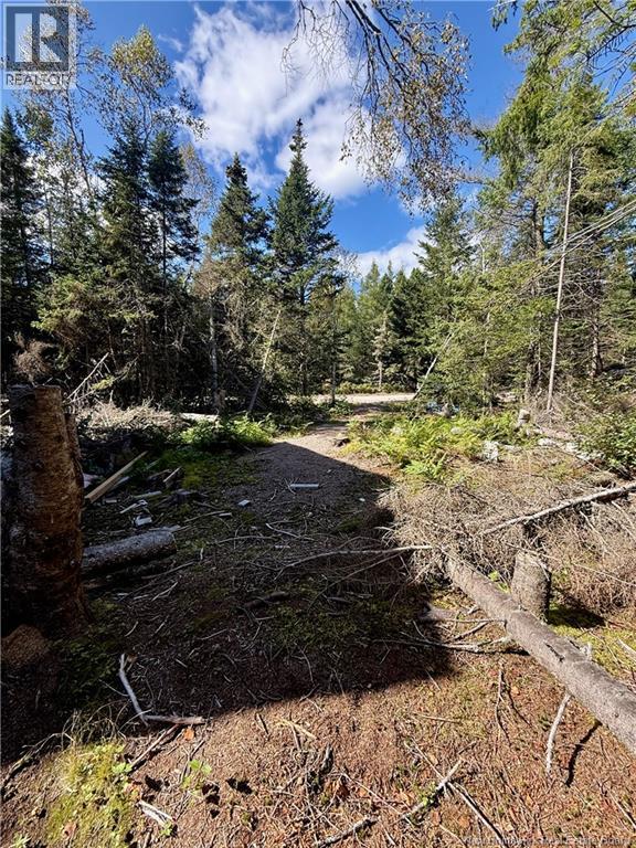Lot Brooklyn Road, Midgic, New Brunswick  E4L 1W3 - Photo 39 - NB148129
