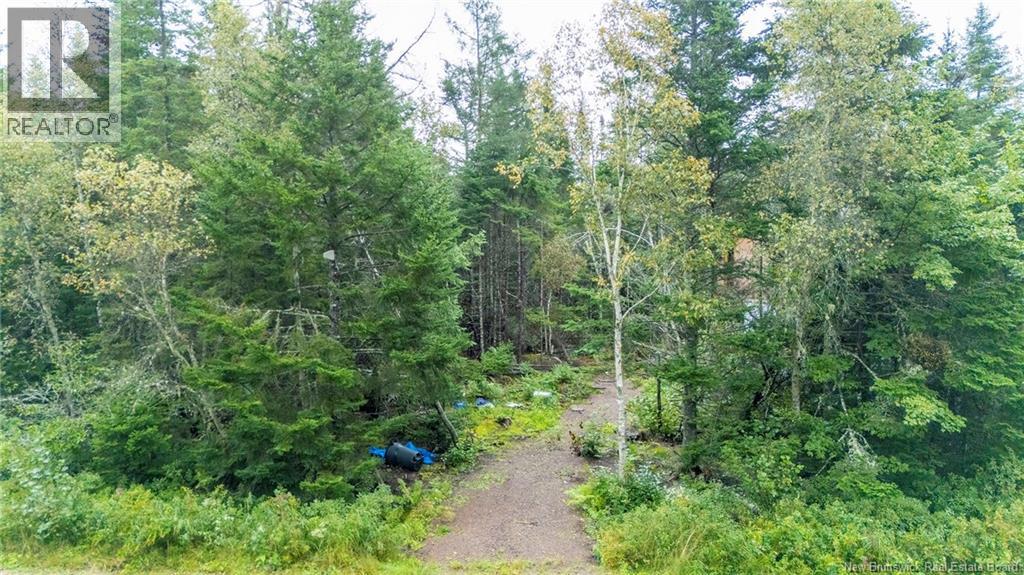 Lot Brooklyn Road, Midgic, New Brunswick  E4L 1W3 - Photo 4 - NB148129