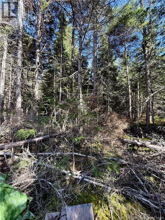 Lot Brooklyn Road, Midgic, New Brunswick  E4L 1W3 - Photo 42 - NB148129