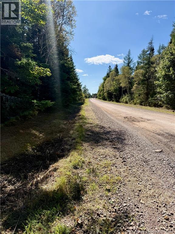 Lot Brooklyn Road, Midgic, New Brunswick  E4L 1W3 - Photo 47 - NB148129