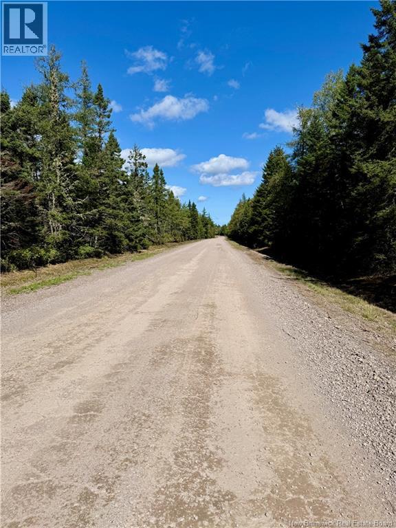 Lot Brooklyn Road, Midgic, New Brunswick  E4L 1W3 - Photo 48 - NB148129