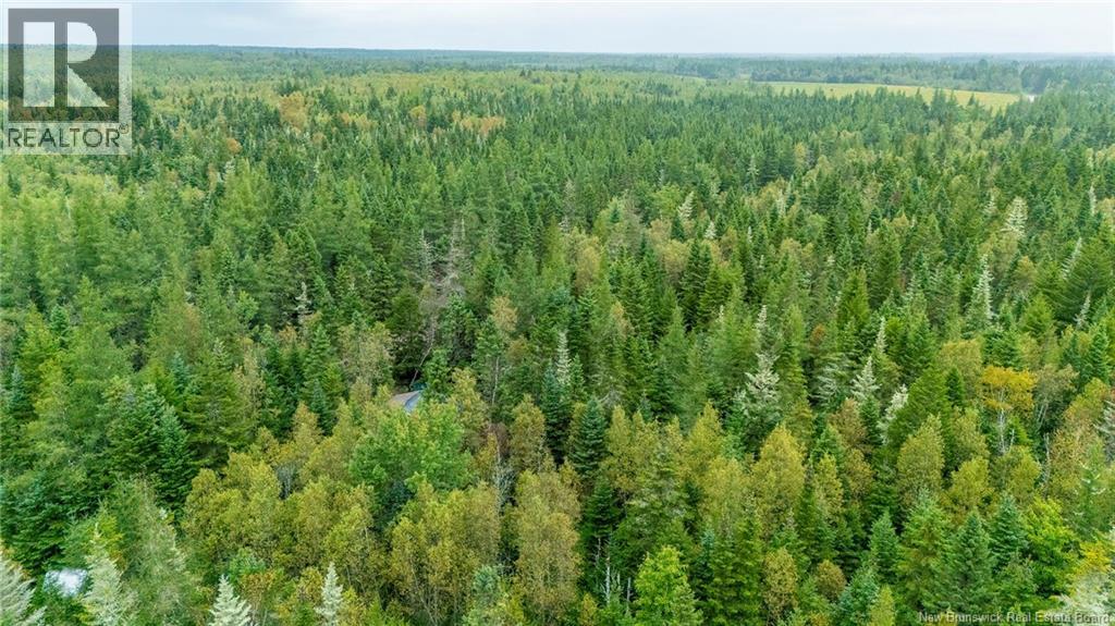 Lot Brooklyn Road, Midgic, New Brunswick  E4L 1W3 - Photo 7 - NB148129
